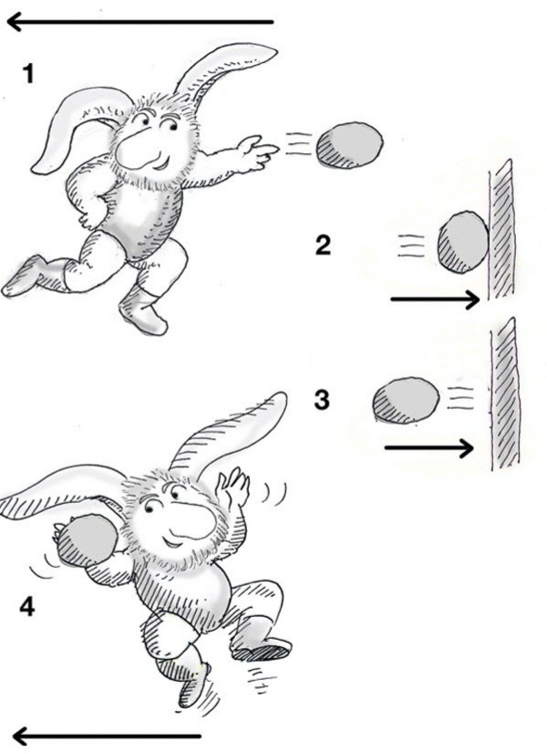 Sequenza illustrata: il coniglio lancia la palla contro la parete (1), la palla rimbalza (2 e 3), il coniglio la riprende (4)